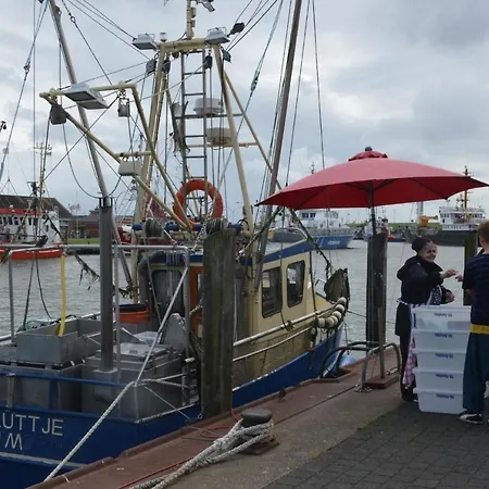 Gemutliche Ferienwohnung In * Büsum